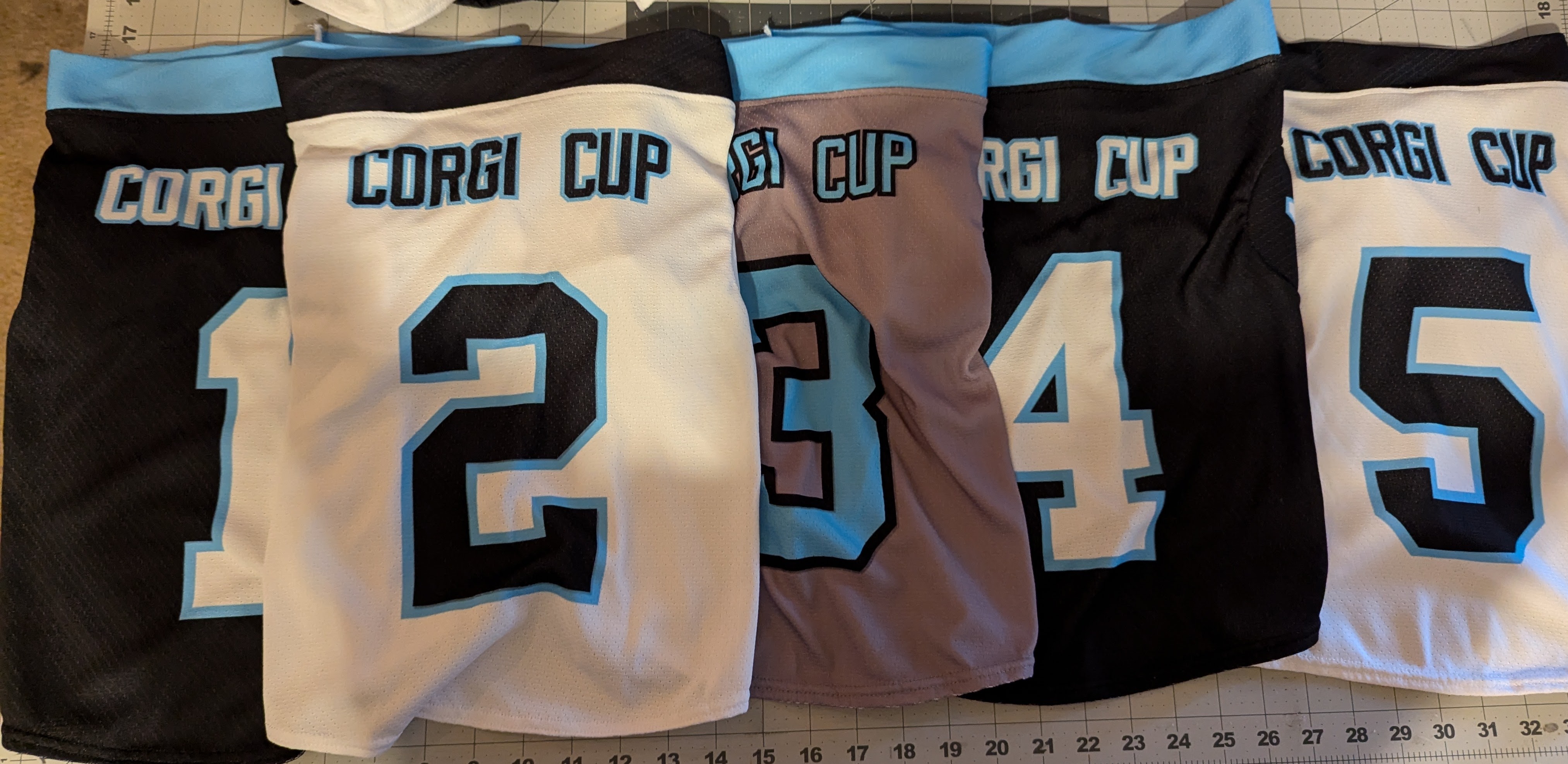 Corgi Cup Jerseys for Carolina Panthers' Halftime Race
